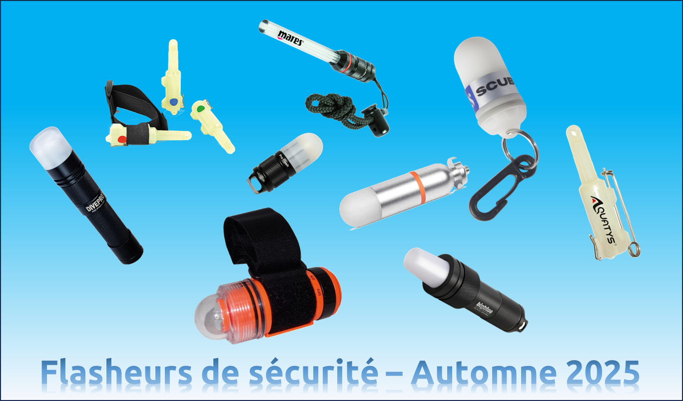 Catalogue Flasheur Automne 2025